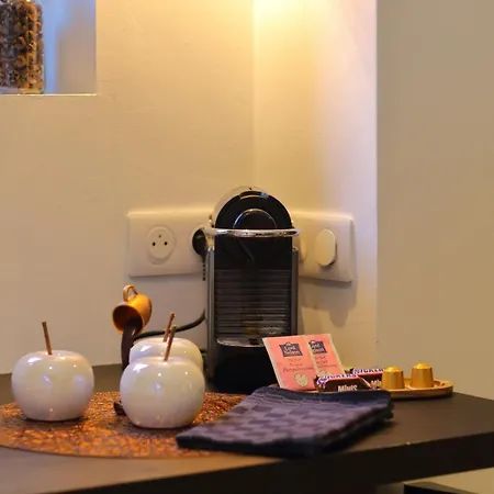 Magnifique Avec Sauna Et Jacuzzi Prives Apartment