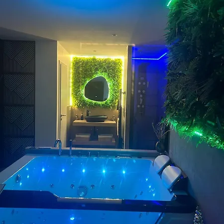 Magnifique Avec Sauna Et Jacuzzi Prives Avolsheim