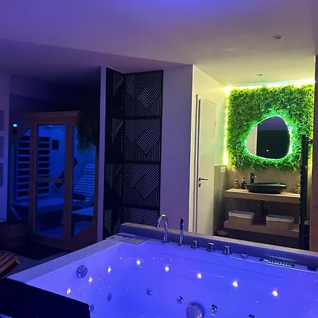 Magnifique Avec Sauna Et Jacuzzi Prives Apartment