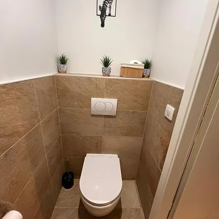 Magnifique Avec Sauna Et Jacuzzi Prives Apartment *